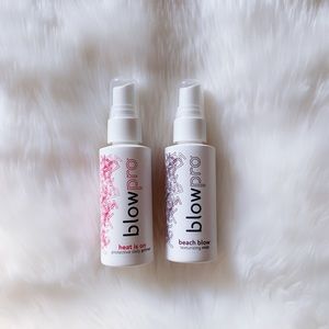 Blowpro Duo Bundle